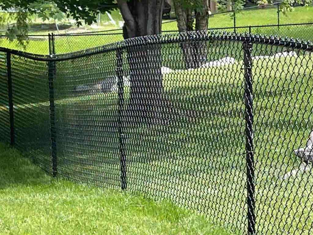 Chain Link fence solutions for the Mankato Minnesota area